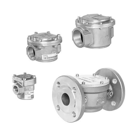 Газовый фильтр Dungs GF 60040/50 279853