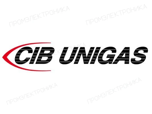 Голова сгорания CIB Unigas 3060161