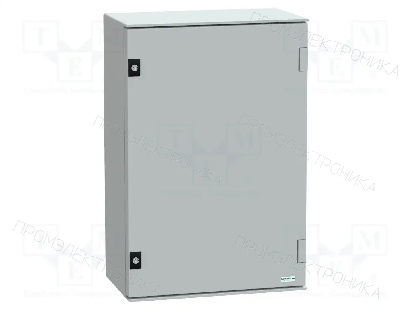 SCHNEIDER ELECTRIC NSYPLM64PG — Корпуса настенные
