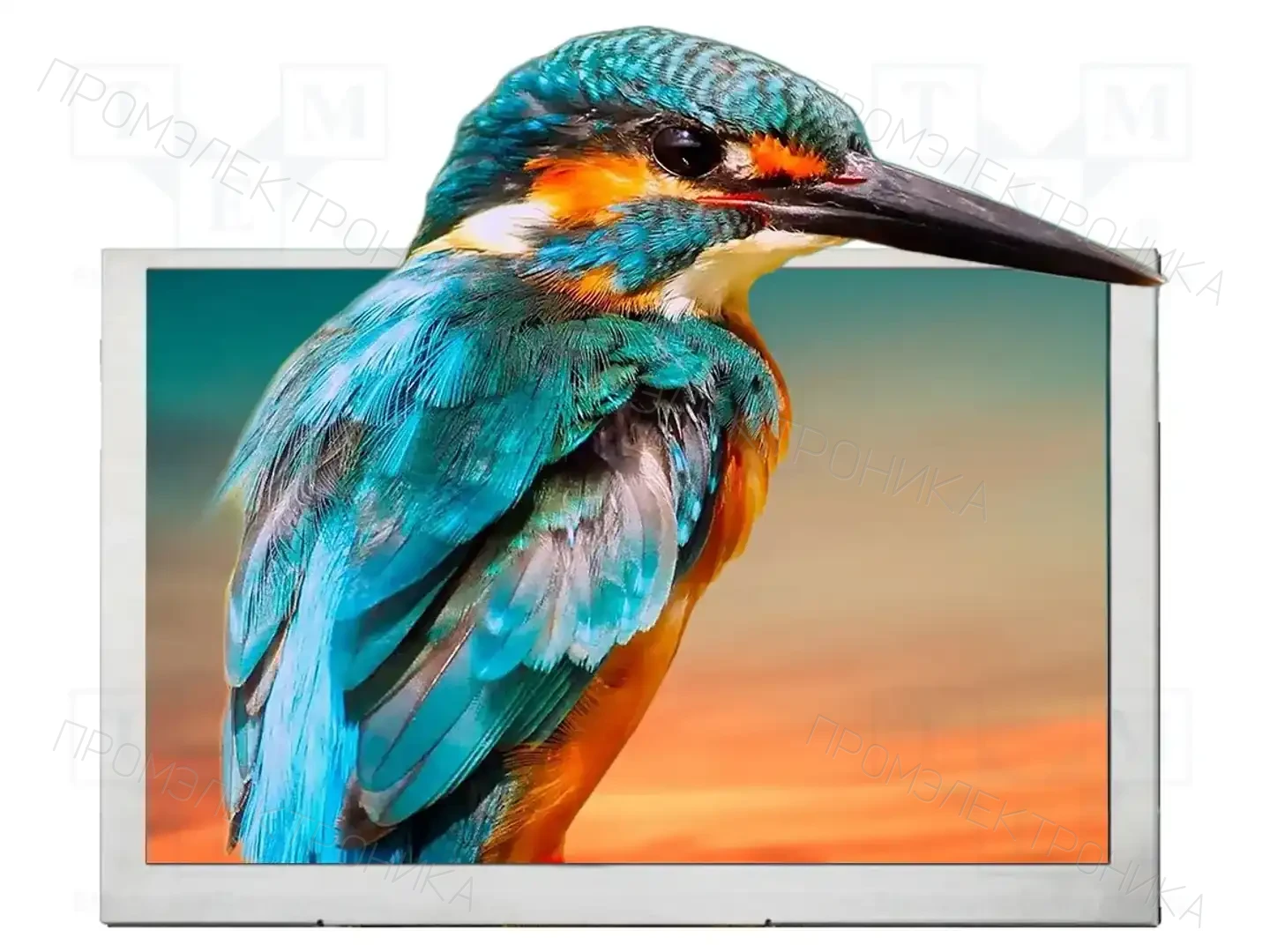 Riverdi SM-RVT50HQLNWN00 — Дисплеи TFT