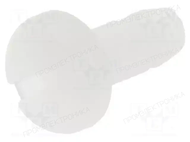 ESSENTRA 50M025045N008 — Винты