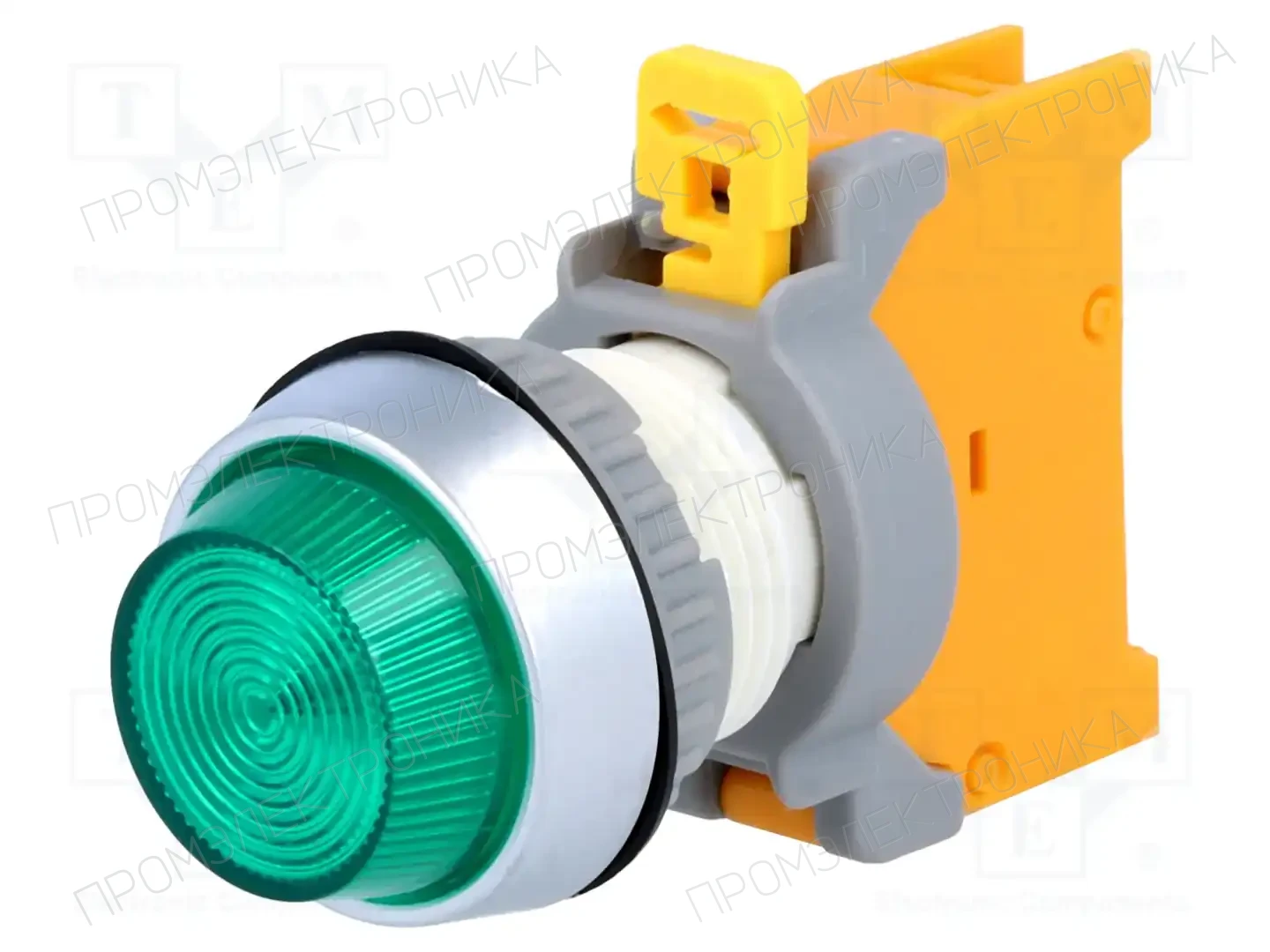 AUSPICIOUS PLN22A G W/0 LAMP — Панельные аксессуары стандартные