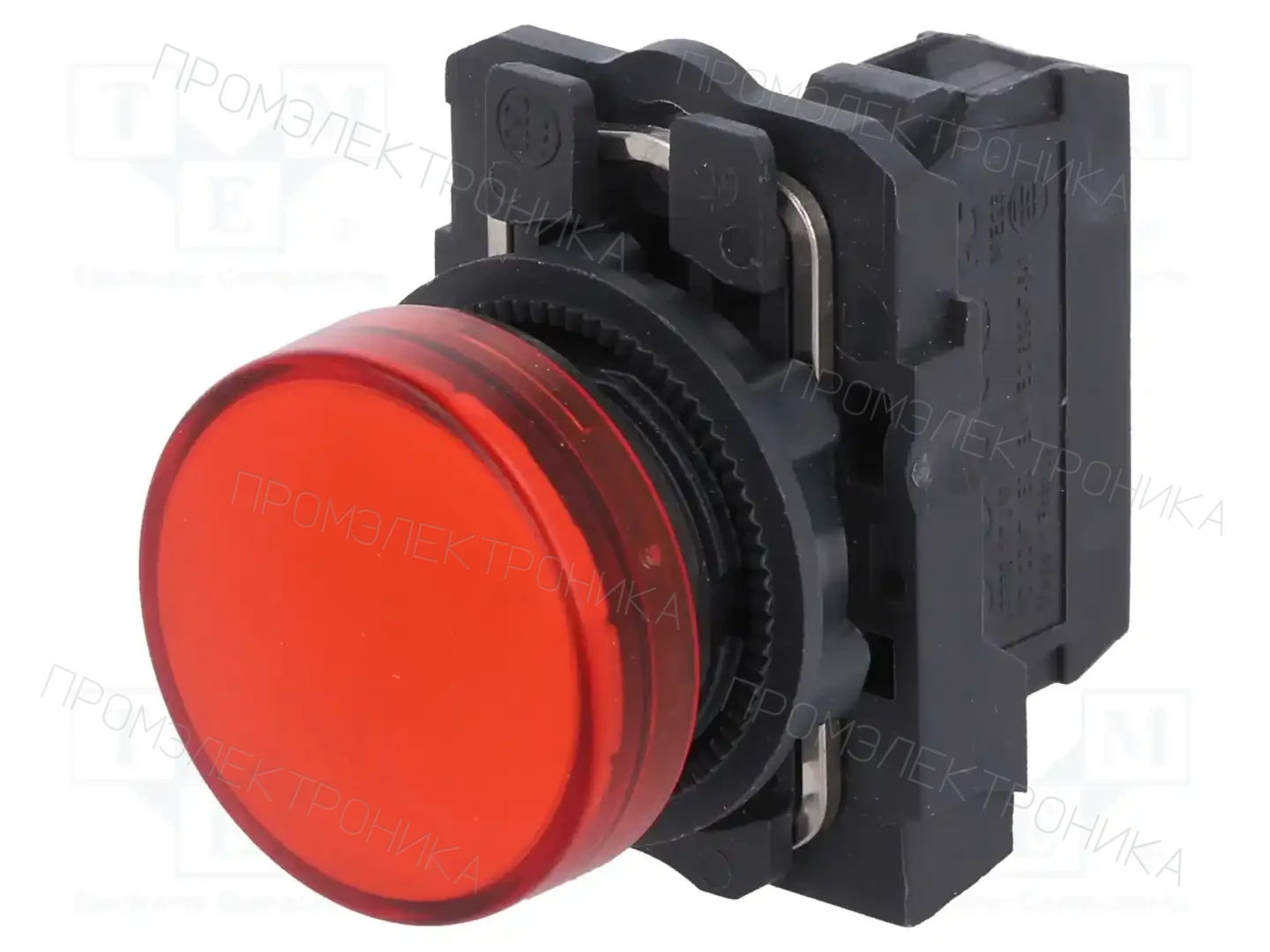SCHNEIDER ELECTRIC XB5AVM4 — Панельные аксессуары стандартные