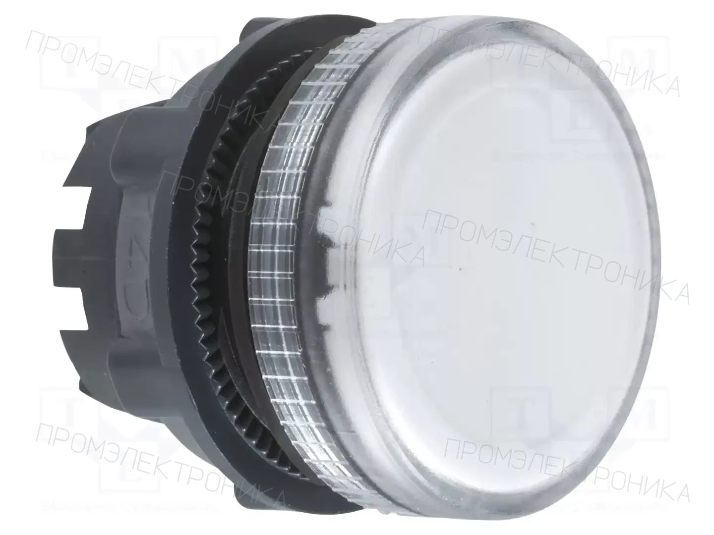 SCHNEIDER ELECTRIC ZB5AV07 — Панельные аксессуары стандартные