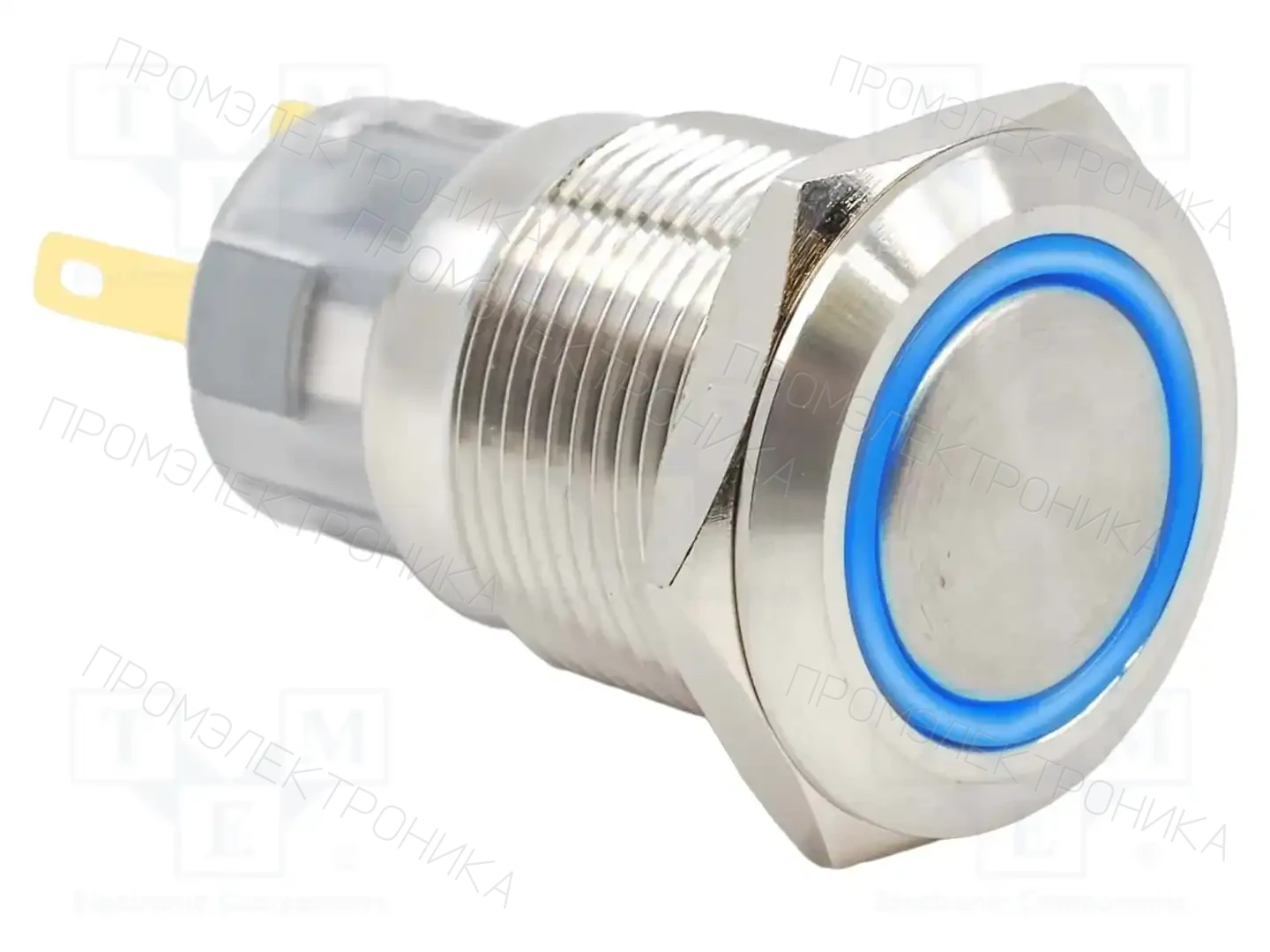 E-SWITCH PV4F2B0SSG-344 — Переключатели кнопочные