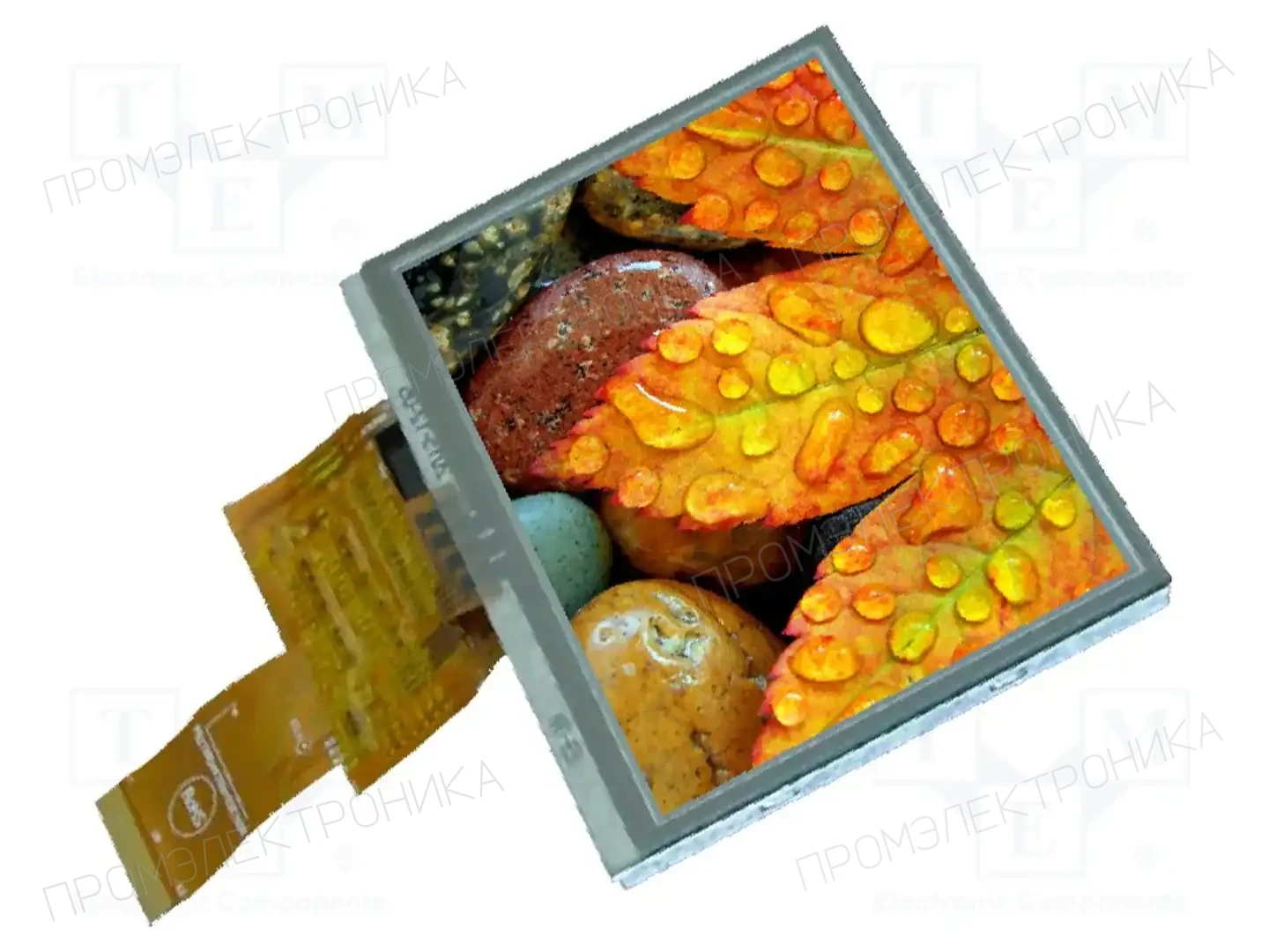 DISPLAY VISIONS EA TFT050-84ATP — Дисплеи TFT