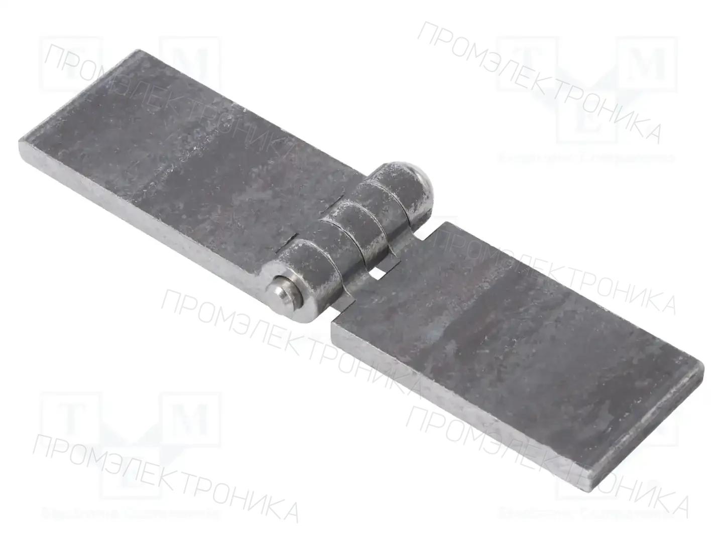 ELESA+GANTER GN 1366-ST-120-30-A-BL — Петли