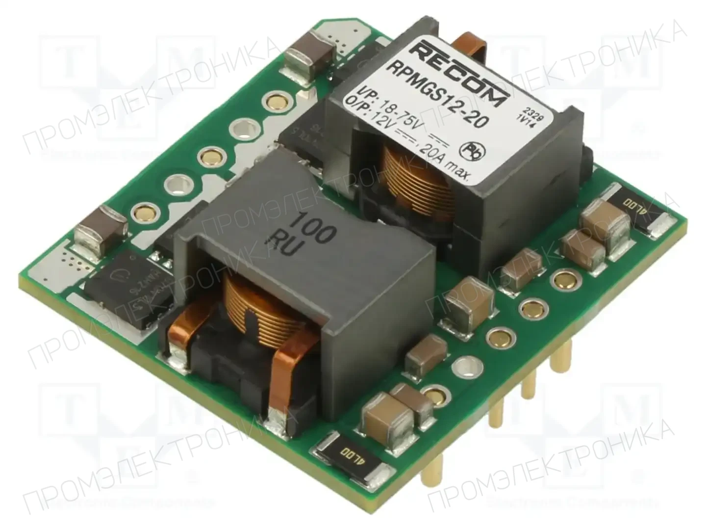 RECOM RPMGS12-20 — Преобразователи DC/DC