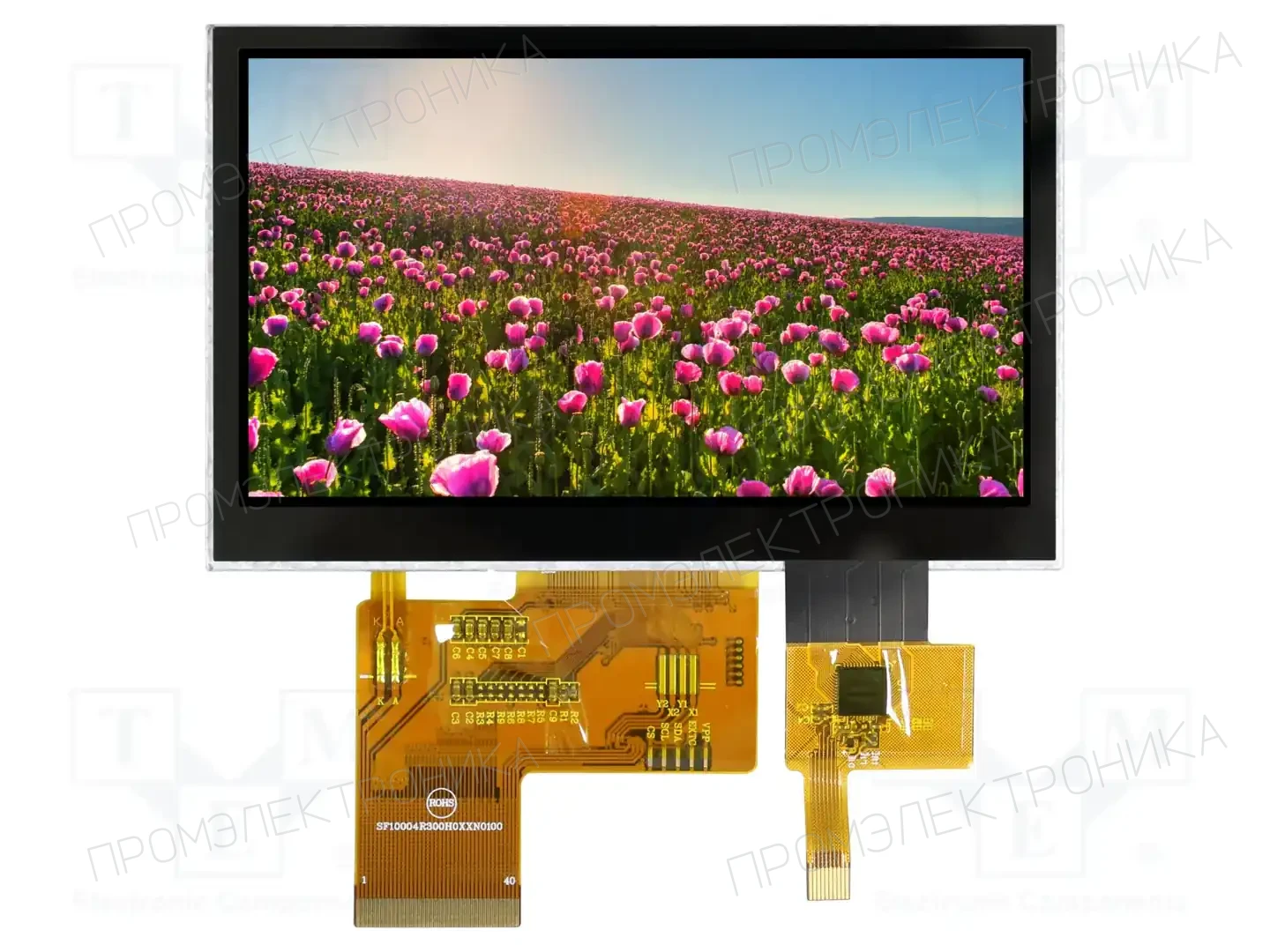 RAYSTAR OPTRONICS RFE430V-AIH-DNG — Дисплеи TFT