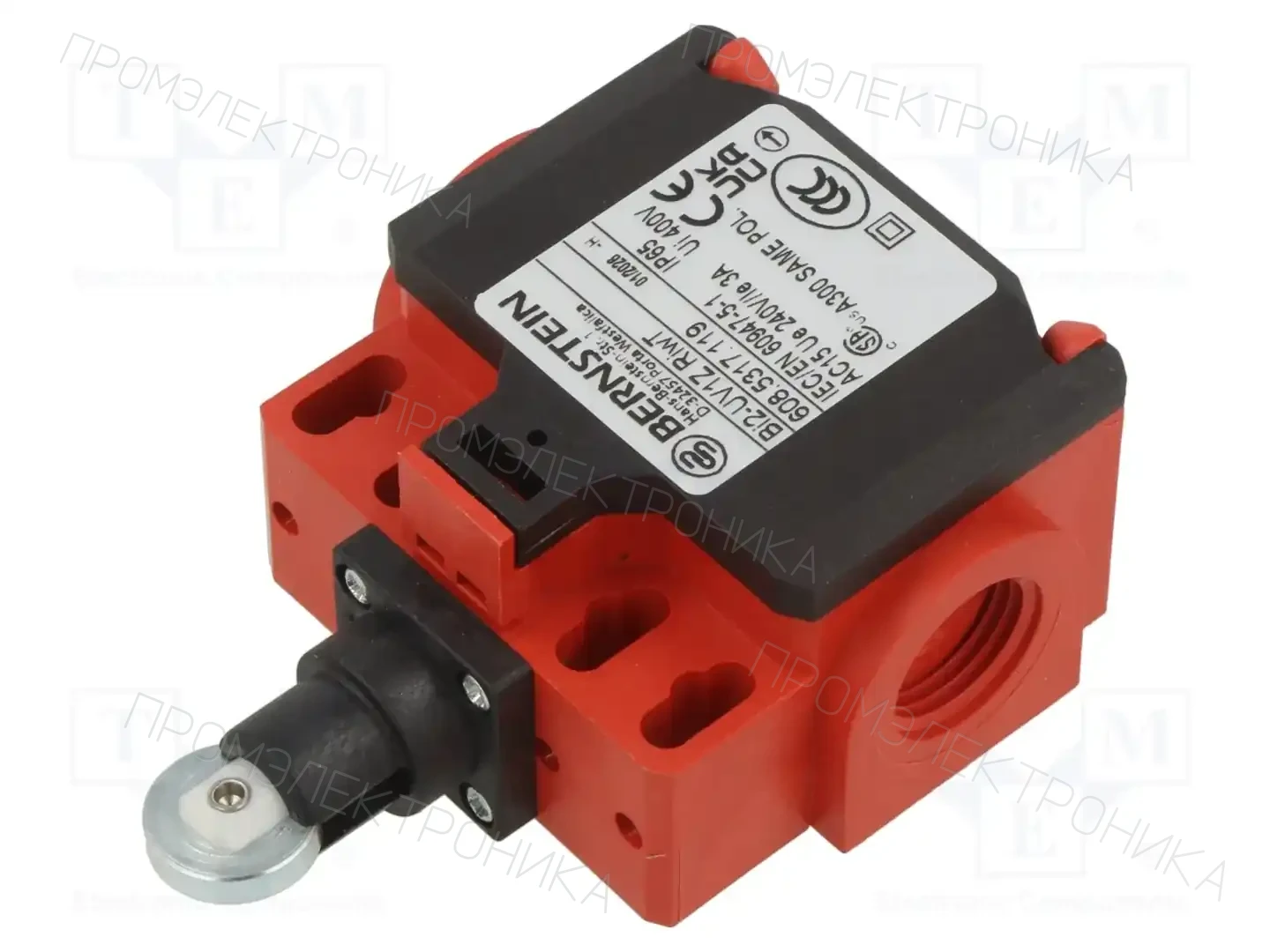 BERNSTEIN AG BI2-UV1Z RIWT — Выключатели концевые