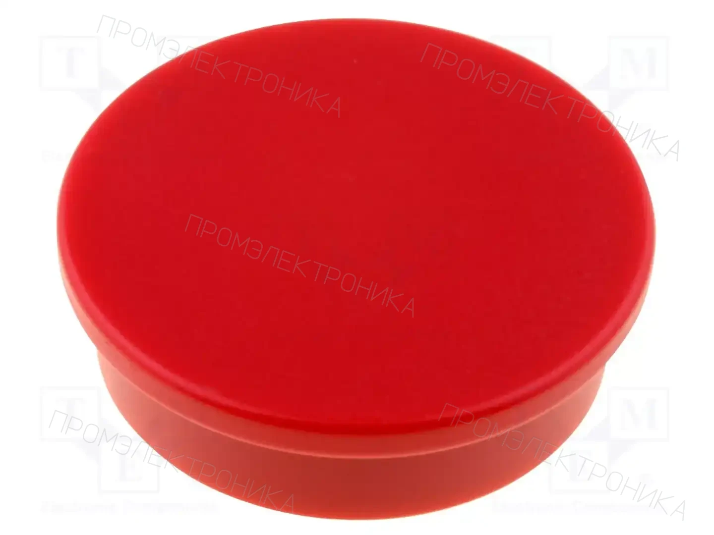 ELESA+GANTER GN 53.1-ND-25-RT — Магниты