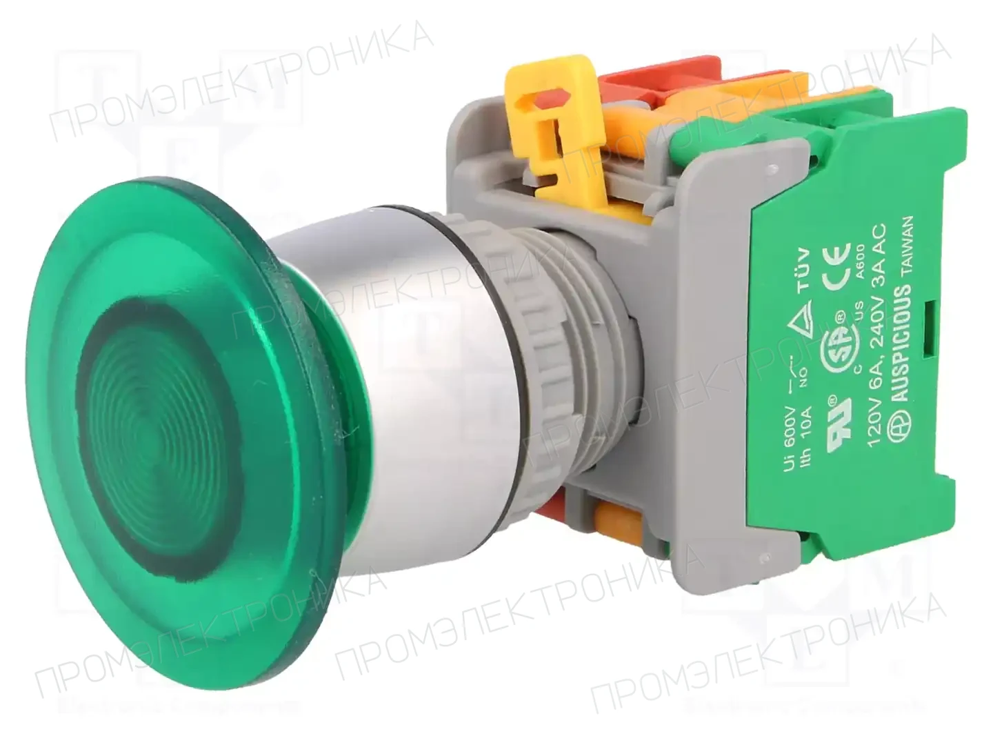 AUSPICIOUS EBL22-1O/C G, W/O LAMP — Переключатели панельные стандартные 22мм