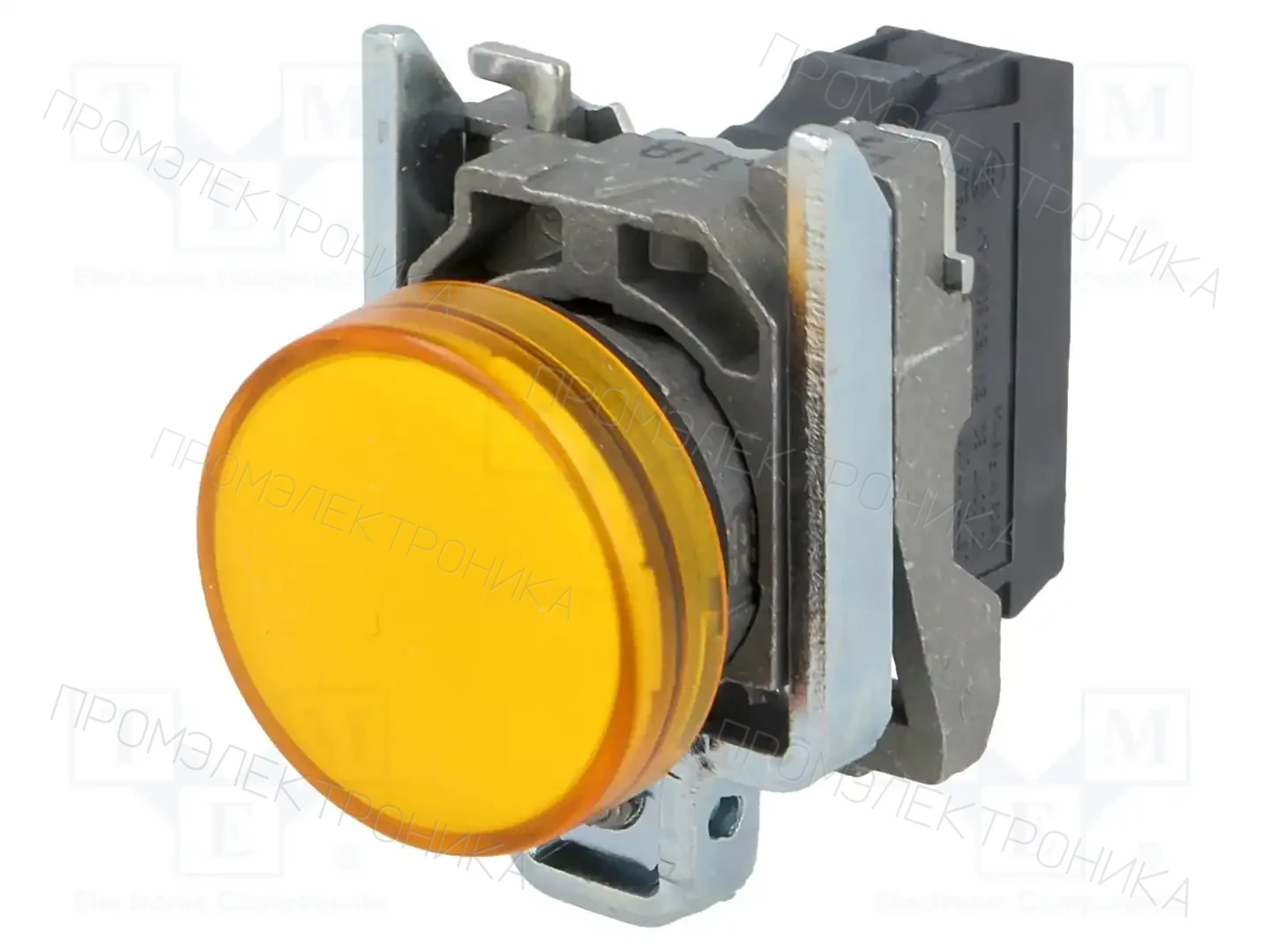SCHNEIDER ELECTRIC XB4BVM5 — Панельные аксессуары стандартные