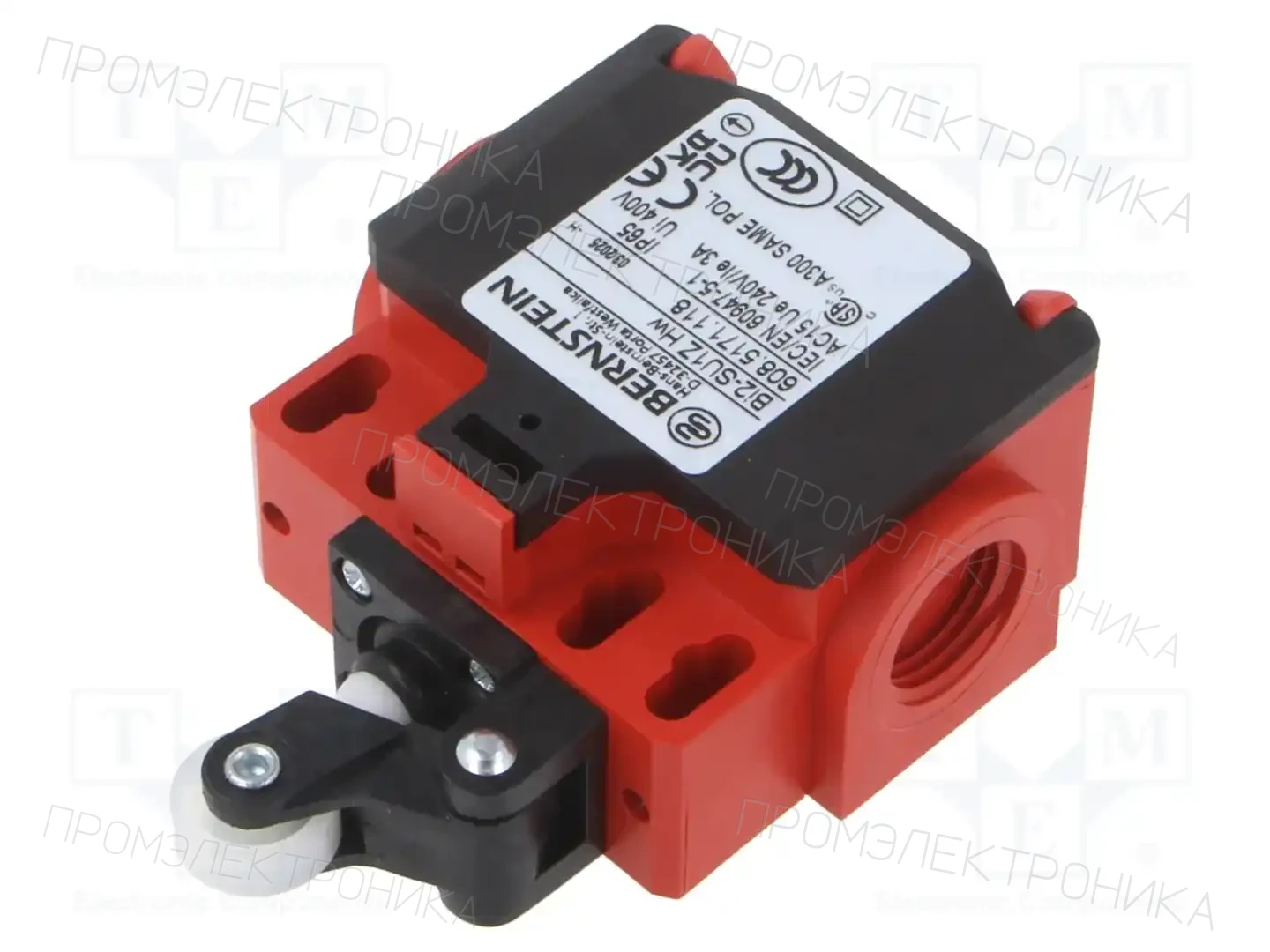 BERNSTEIN AG BI2-SU1Z HW 180GR RO13.5 — Выключатели концевые