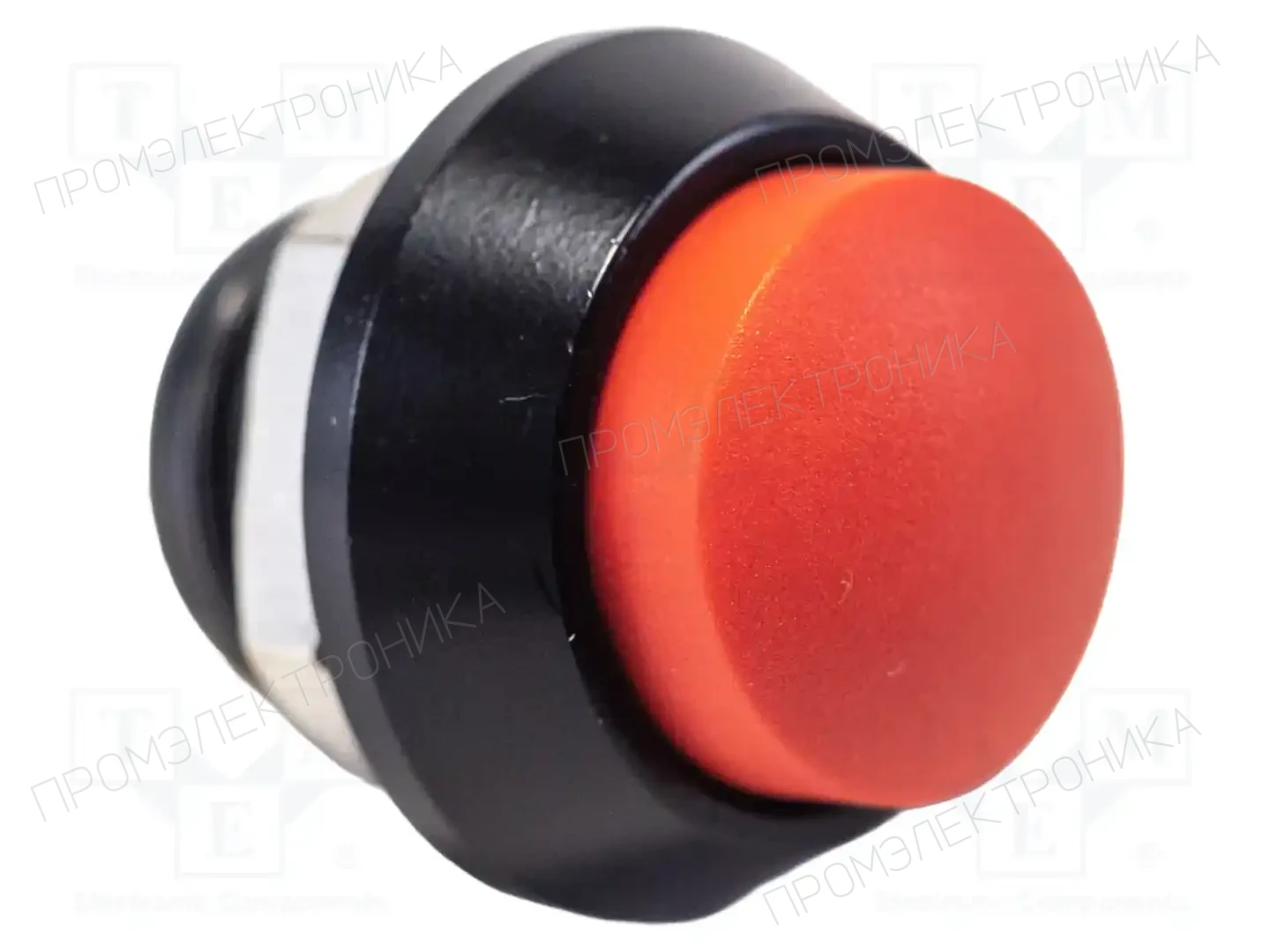 E-SWITCH PV5H24019 — Переключатели кнопочные