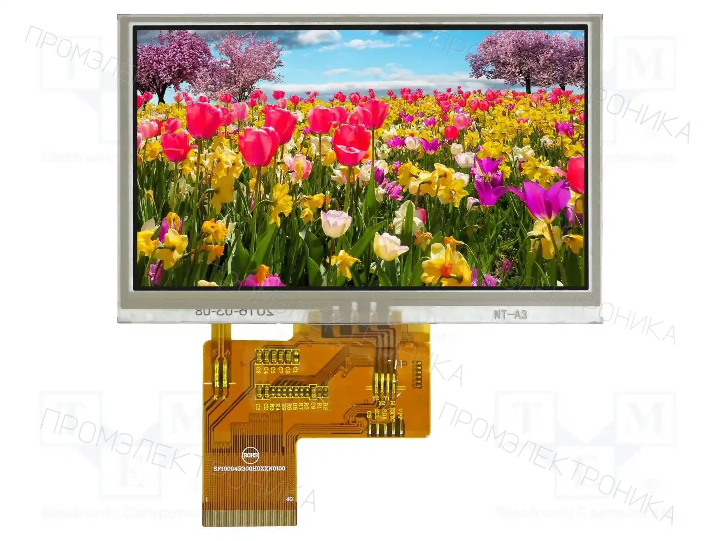 RAYSTAR OPTRONICS RFE430V-AIH-DNS — Дисплеи TFT