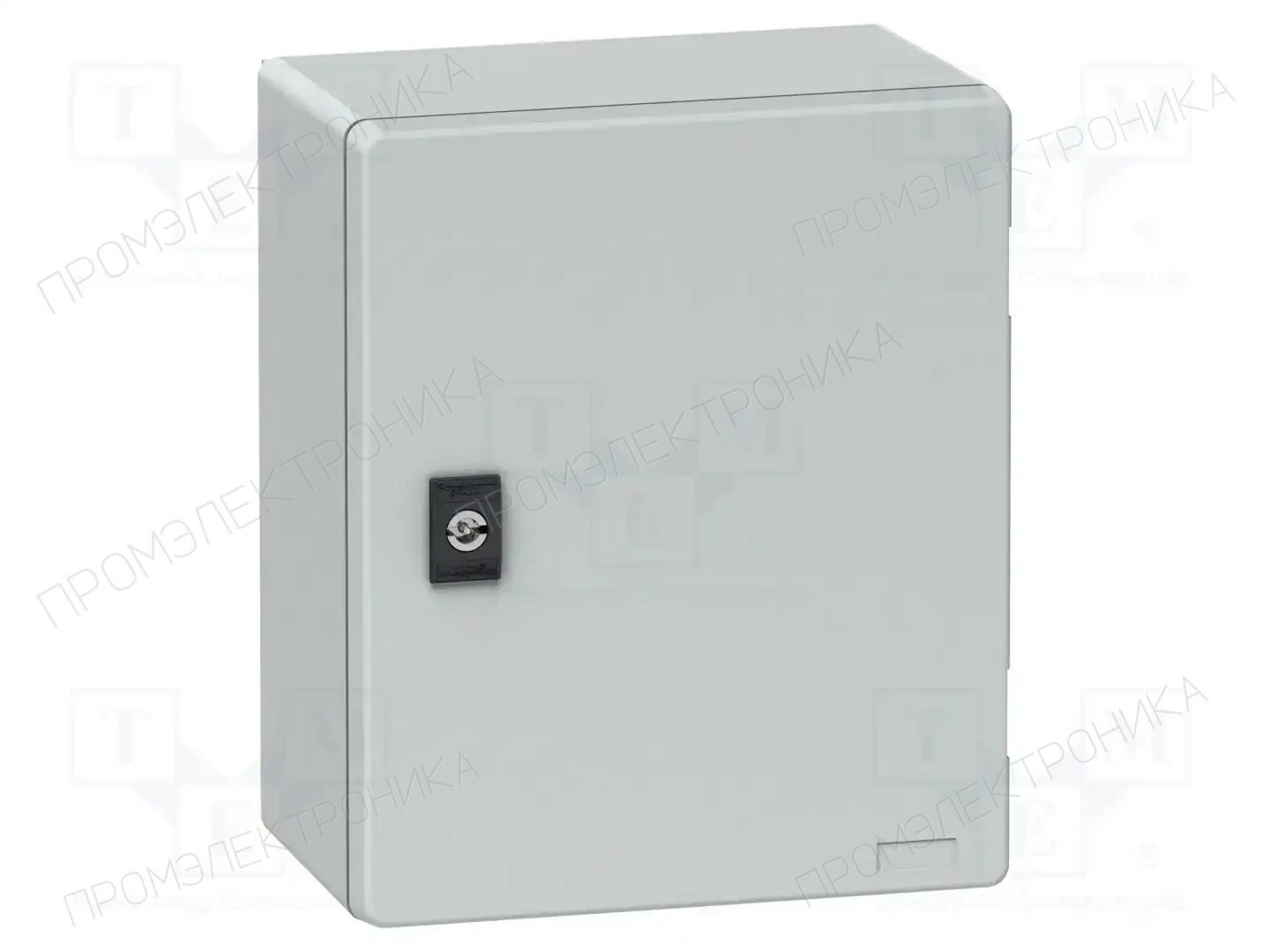 SCHNEIDER ELECTRIC NSYPLM3025BG — Корпуса настенные