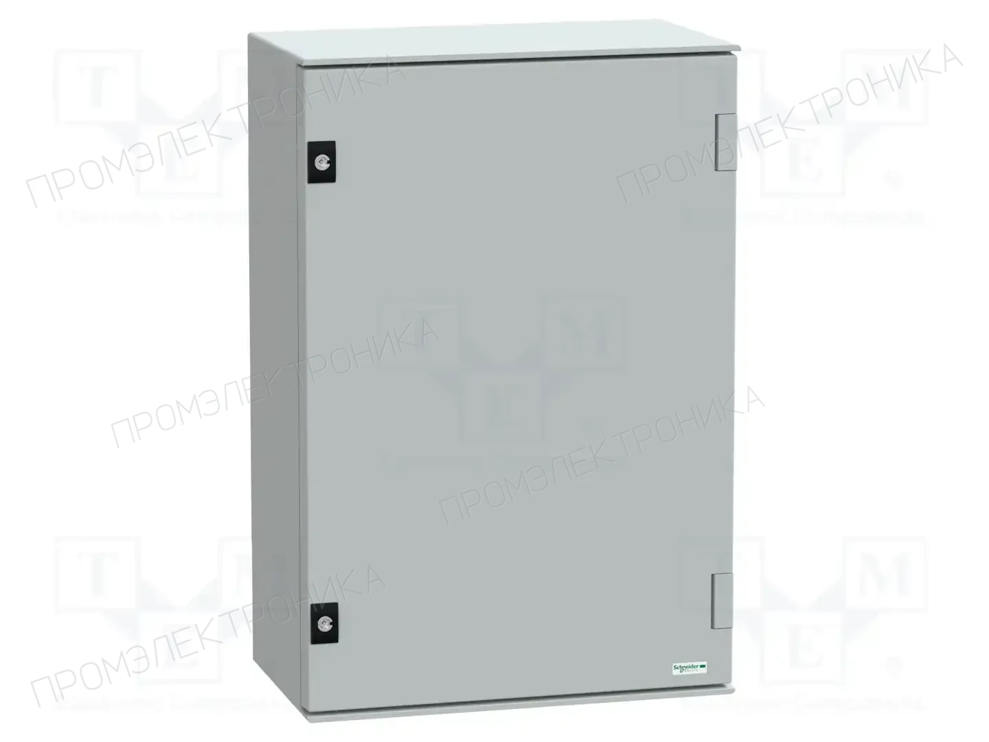 SCHNEIDER ELECTRIC NSYPLM64G — Корпуса настенные