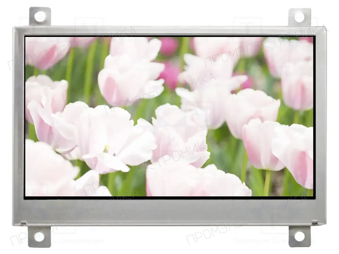 RAYSTAR OPTRONICS RFE43DQ-EIW-DBN — Дисплеи TFT