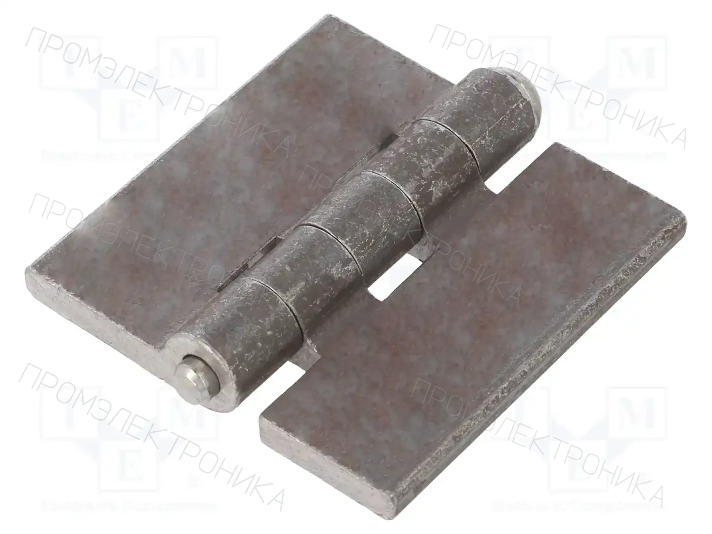 ELESA+GANTER GN 1366-ST-60-60-A-BL — Петли