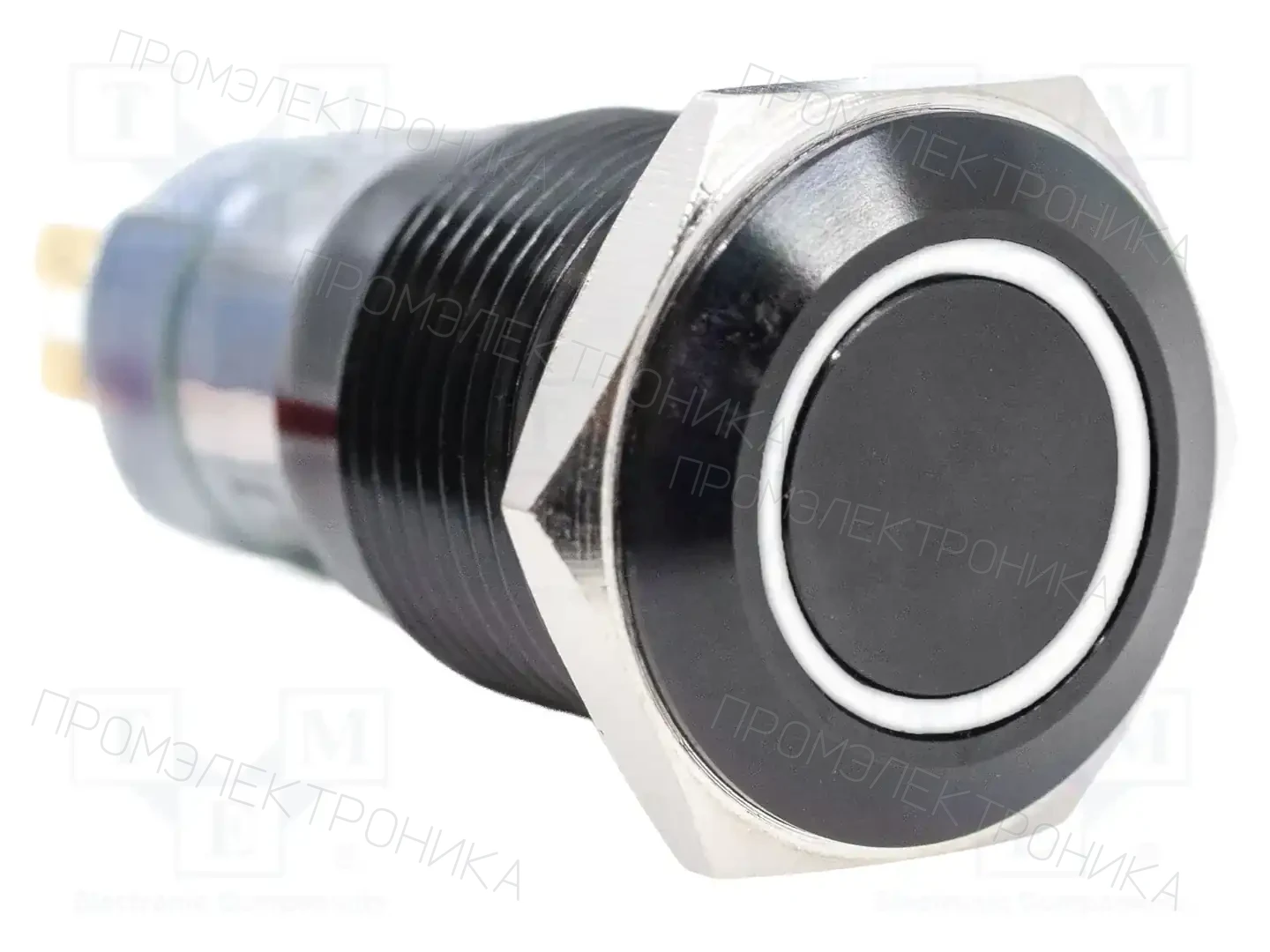 E-SWITCH PV3WF2B011G-301 — Переключатели кнопочные