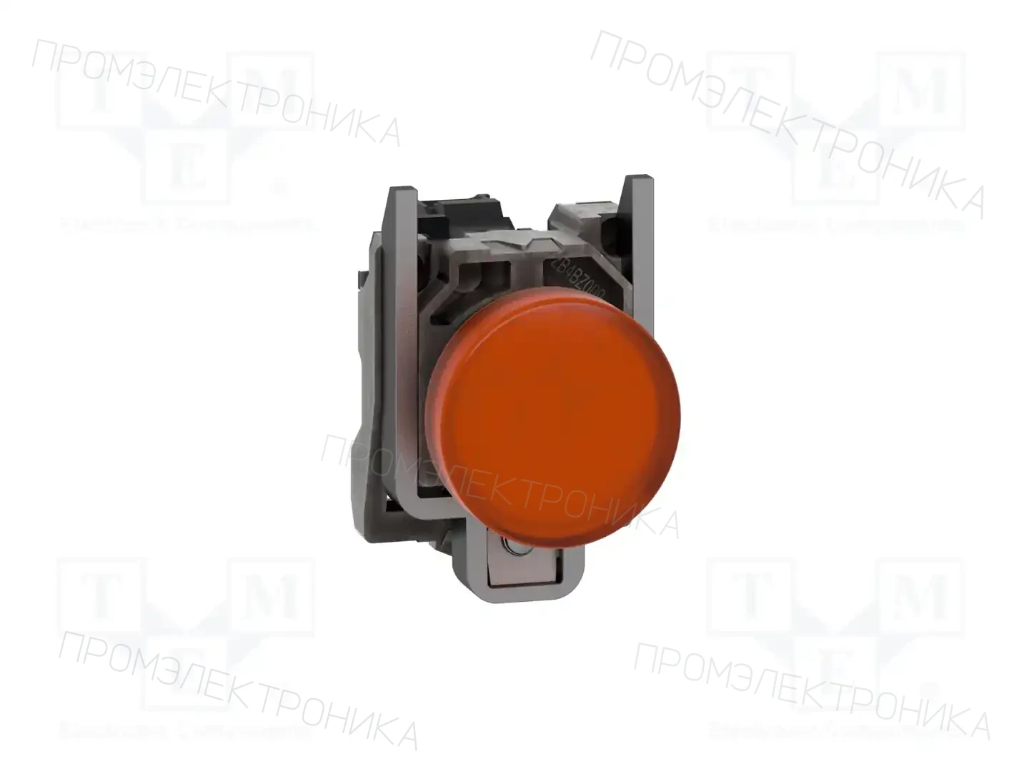 SCHNEIDER ELECTRIC XB4BVG5 — Панельные аксессуары стандартные