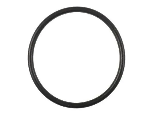 Уплотнительное кольцо Weishaupt 45 x 3 мм, 445518