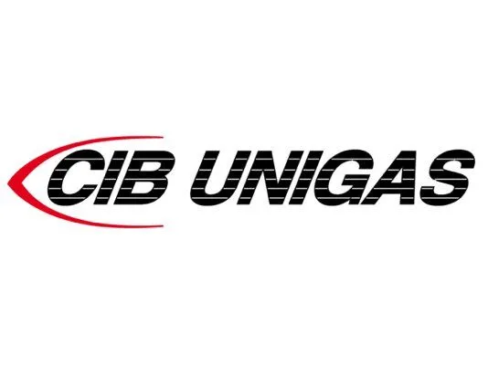 Голова сгорания CIB Unigas 3060161
