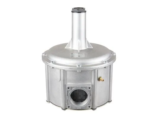 Газовый регулятор Giuliani Anello FGDR50 3142524