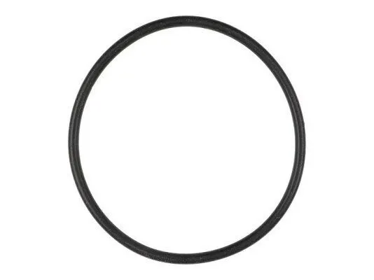 Уплотнительное кольцо Weishaupt 50 x 2.5 мм, 445526
