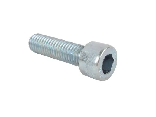 Винт Weishaupt M10 X 40, 402630