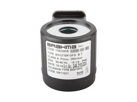 Электромагнитная катушка Brahma BE6 GFD 18811821
