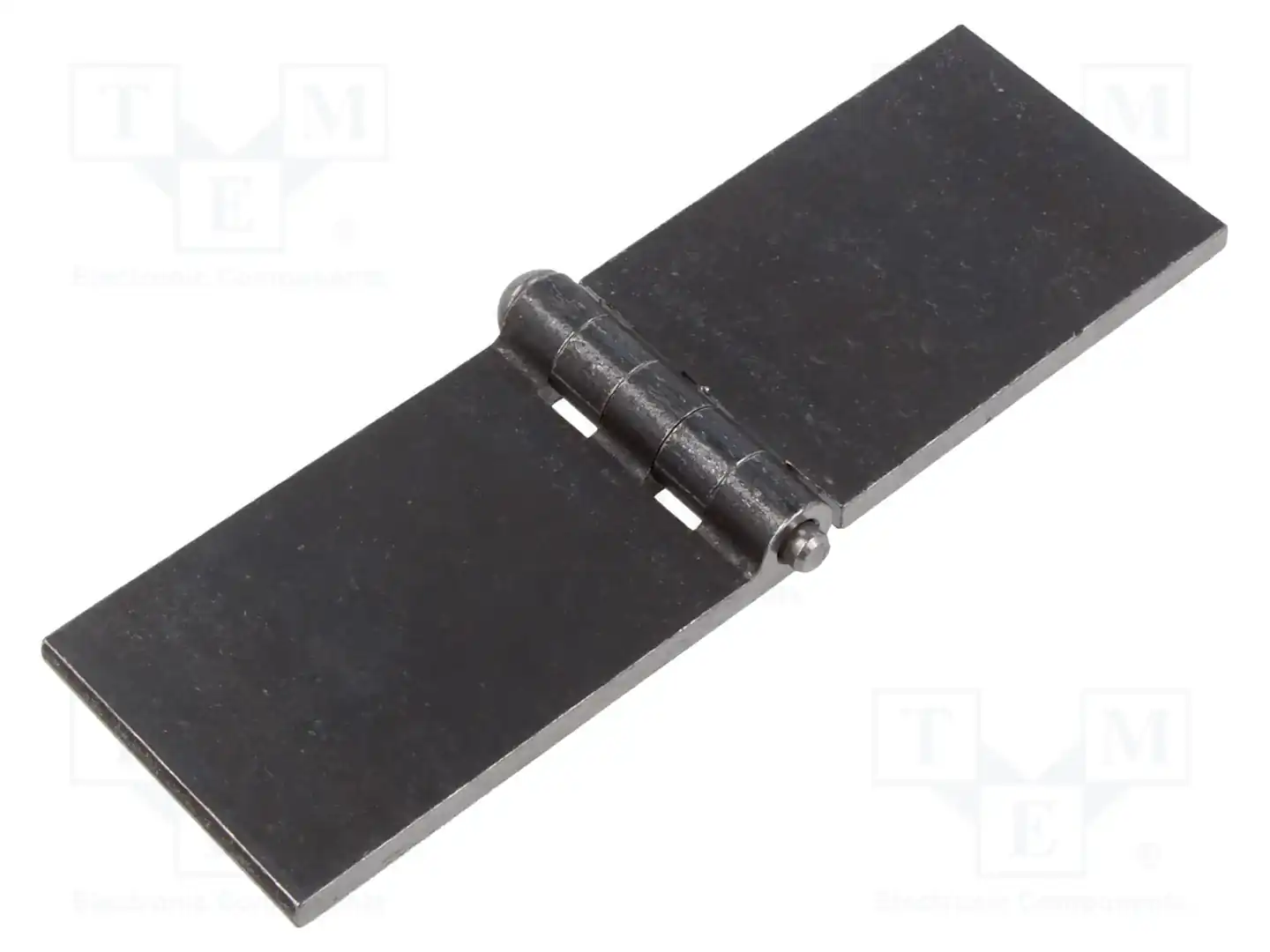 ELESA+GANTER GN 1366-ST-160-50-A-BL — Петли