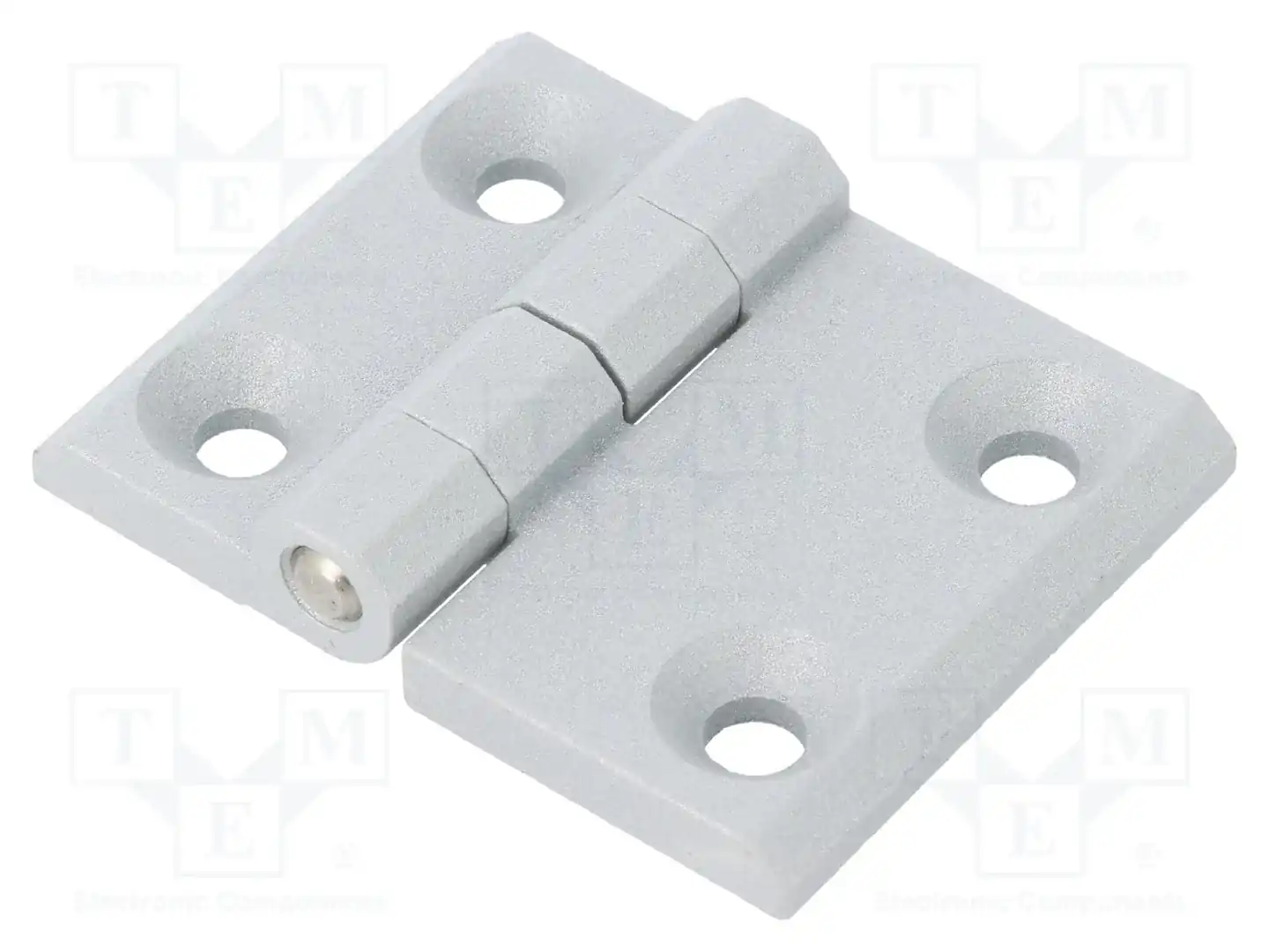 ELESA+GANTER GN 237-ZD-63-50-A-SR — Петли
