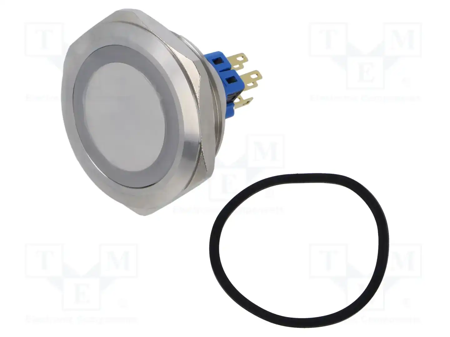 E-SWITCH PV10F2V0SS-311 — Переключатели кнопочные