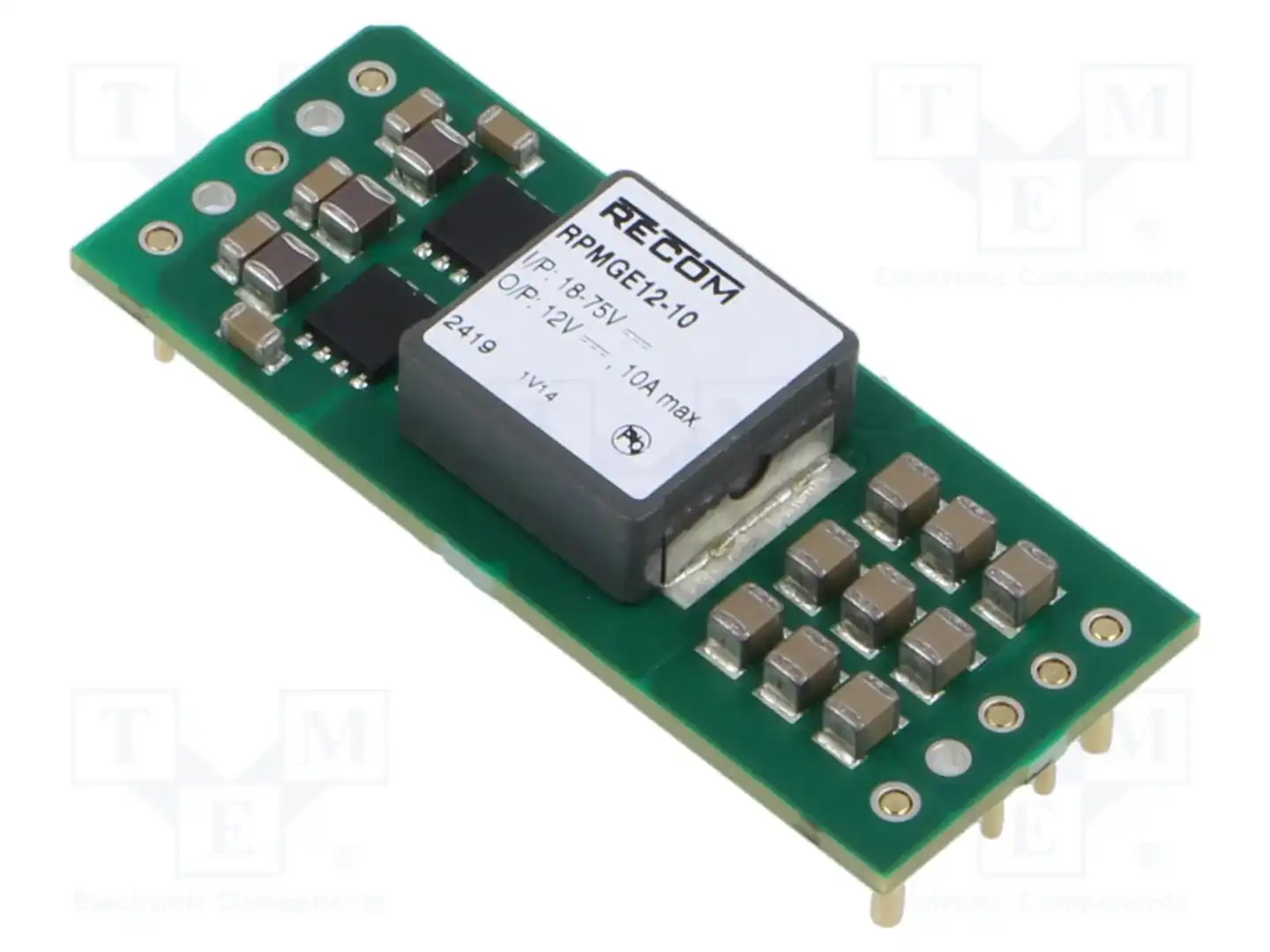 RECOM RPMGE12-10 — Преобразователи DC/DC