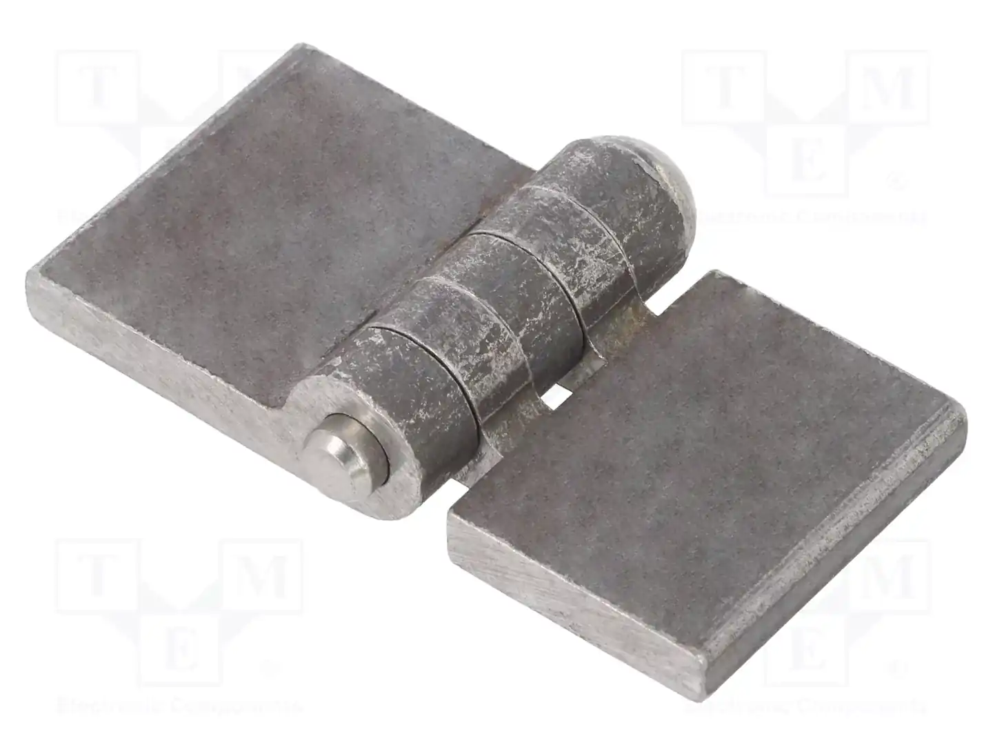 ELESA+GANTER GN 1366-ST-60-30-A-BL — Петли