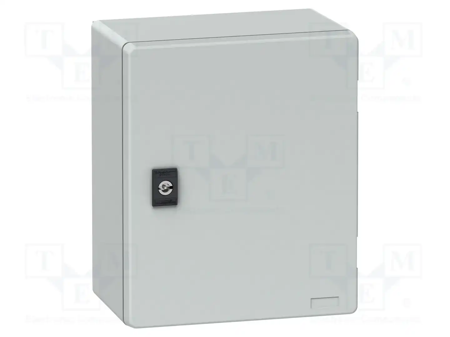 SCHNEIDER ELECTRIC NSYPLM3025BG — Корпуса настенные
