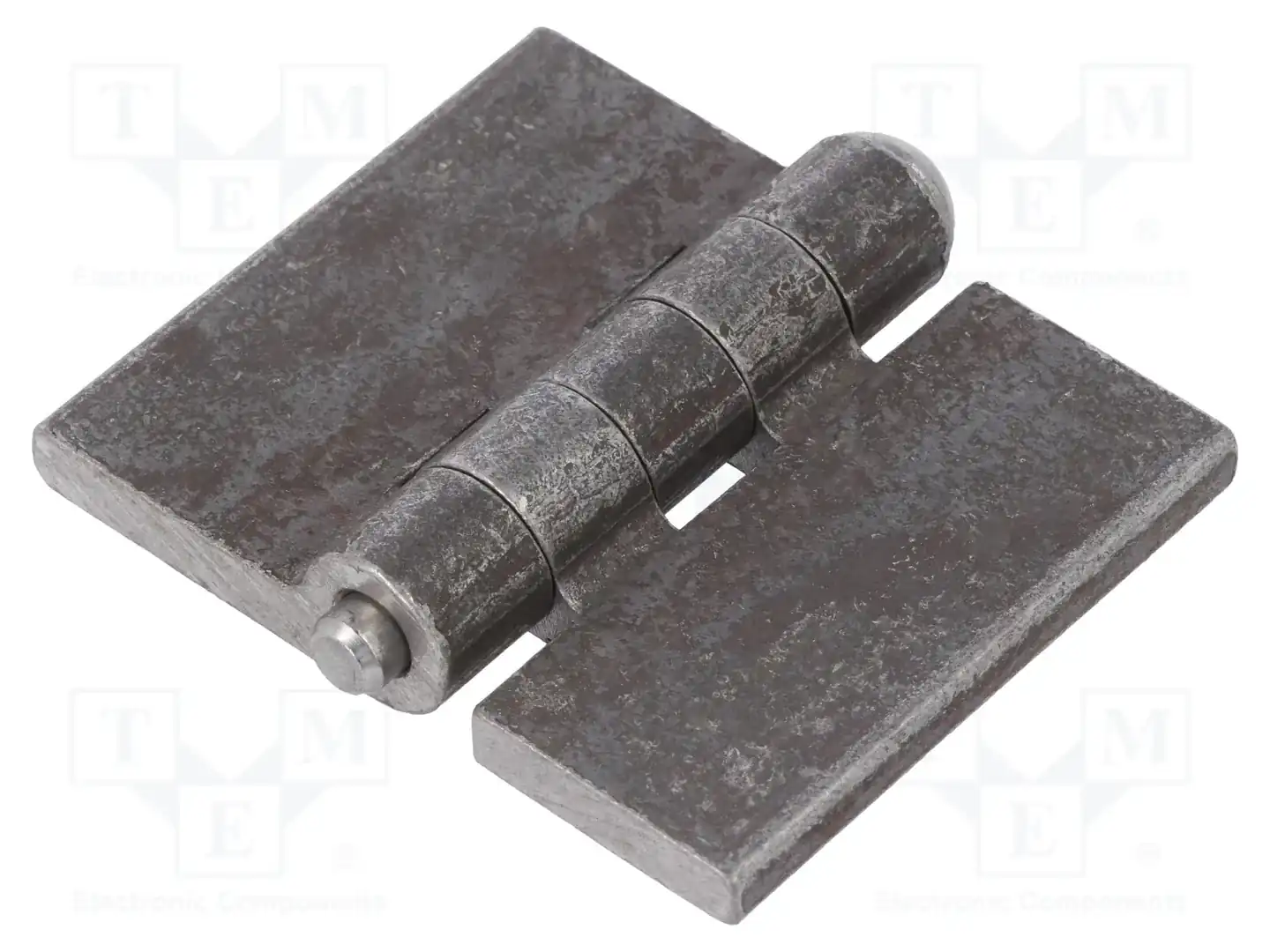 ELESA+GANTER GN 1366-ST-60-50-A-BL — Петли