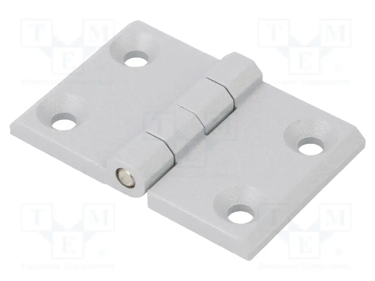 ELESA+GANTER GN 237-ZD-76-50-A-SR — Петли