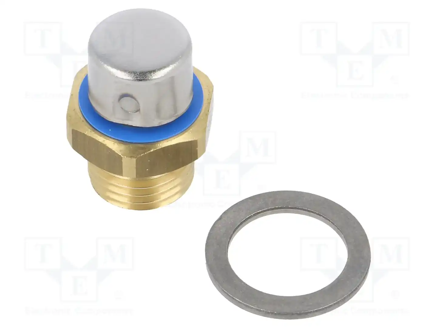 ELESA+GANTER GN 884-G1/4-B-MS — Пробки и воздухоотводчики
