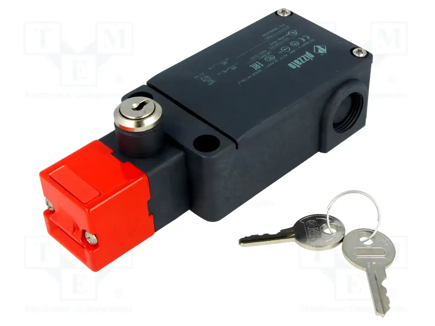 PIZZATO ELETTRICA FS 1898D024 — Выключатели безопасности стандартные