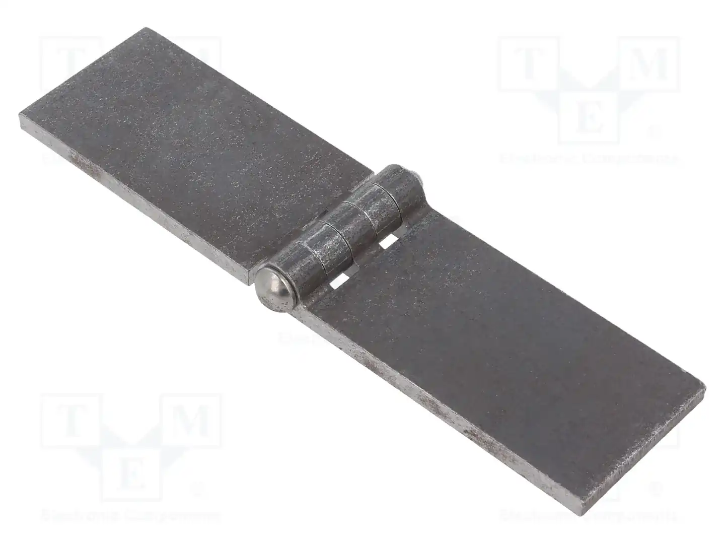 ELESA+GANTER GN 1366-ST-160-40-A-BL — Петли