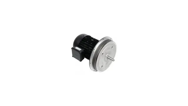 Электродвигатель Weishaupt W-D132/170-2/6K5