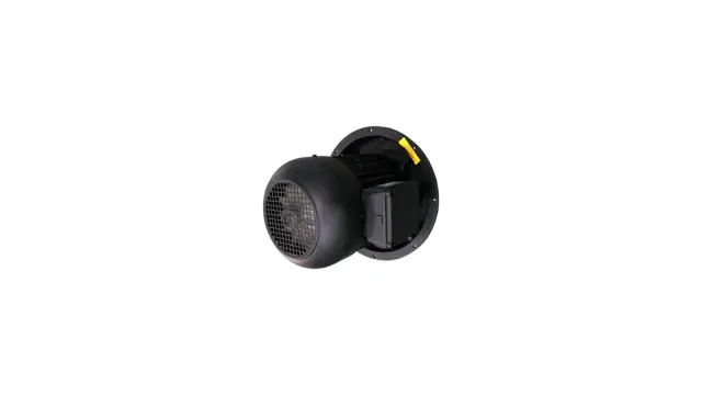 Электродвигатель Weishaupt WM-D132/210-2/14K0