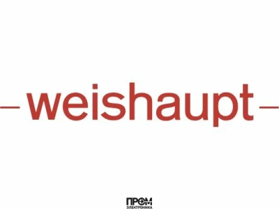 Шайба Weishaupt 300х100, 21760514137