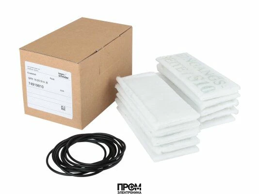 Ремкомплект Kromschroder 74919810