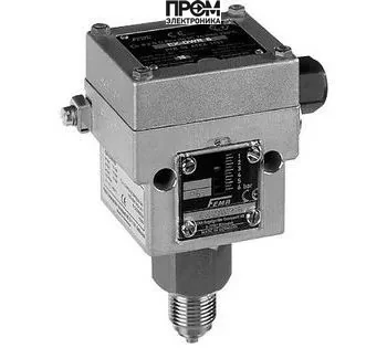 EX-DNS1 Промышленный датчик давления FEMA