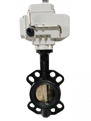 ЗДП с чугунным диском и электроприводом 220В Ду100 Ру16 XK